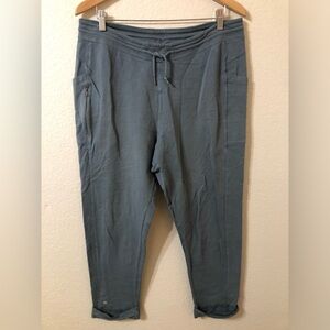 Patagonia Womens Organic Cotton Roaming Joggers in Blue Gray - Size Large